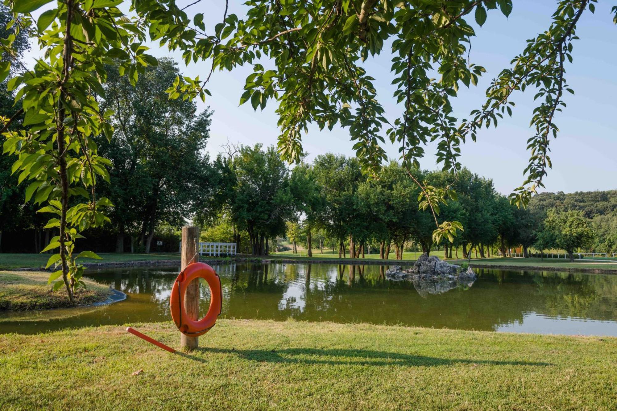 Pannonia Golf & Country Club Bed & Breakfast Alcsutdoboz Ngoại thất bức ảnh